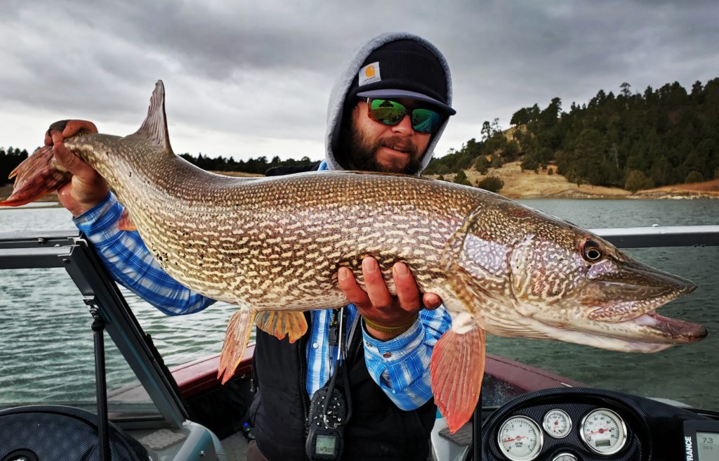 BOOK RESERVOIR TROUT FLIES