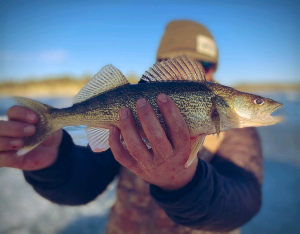 Keyhole Reservoir Guided Fly Fishing Trip in Keyhole State Park by